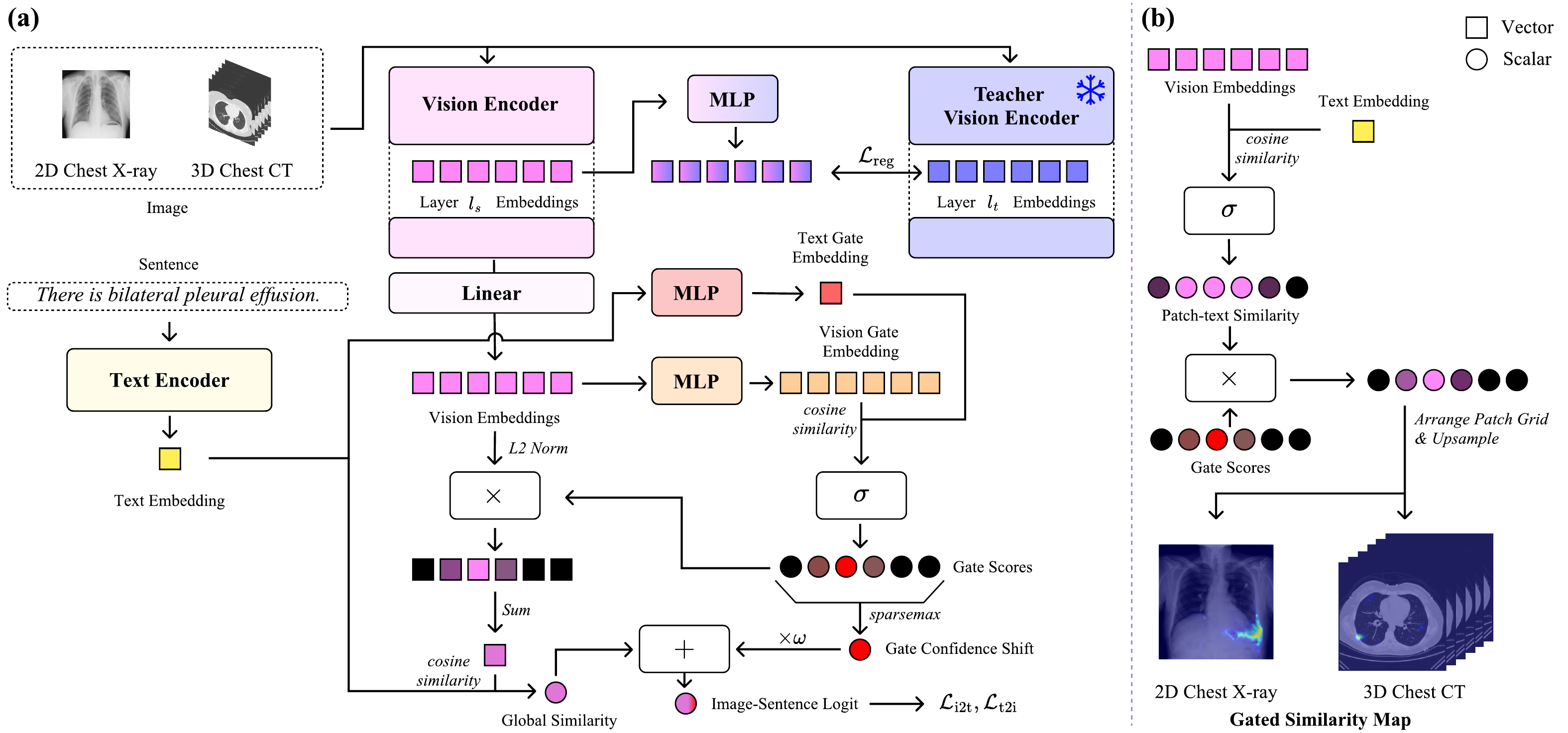 GLINT architecture: sparsely gated alignment head over patch tokens plus dense feature regularization from a frozen teacher